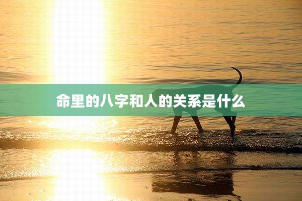 命里的八字和人的关系是什么