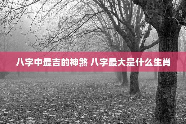 八字中最吉的神煞 八字最大是什么生肖