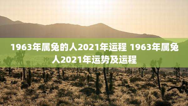 1963年属兔的人2021年运程 1963年属兔人2021年运势及运程