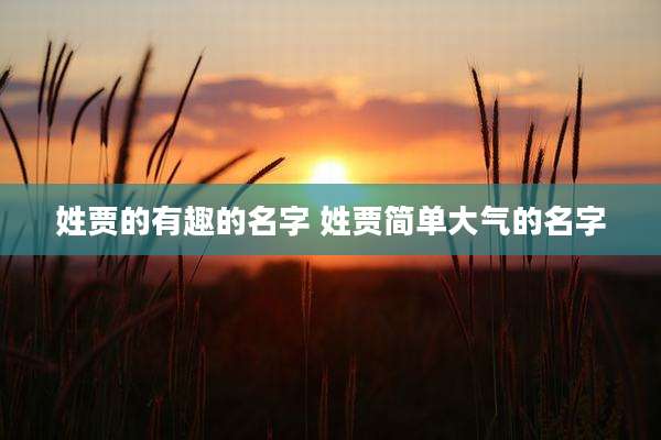 姓贾的有趣的名字 姓贾简单大气的名字
