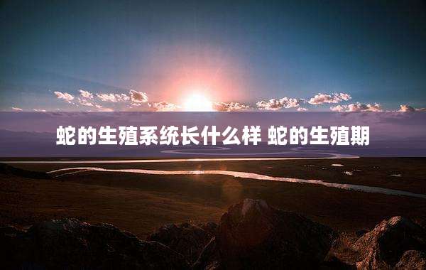蛇的生殖系统长什么样 蛇的生殖期