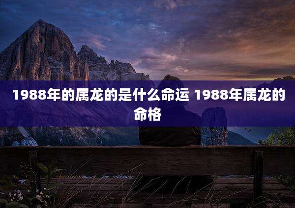 1988年的属龙的是什么命运 1988年属龙的命格
