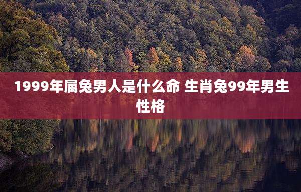 1999年属兔男人是什么命 生肖兔99年男生性格