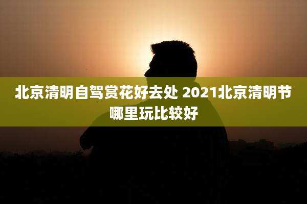 北京清明自驾赏花好去处 2021北京清明节哪里玩比较好