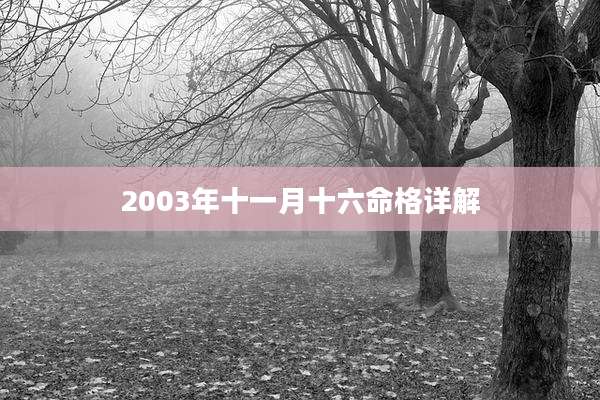 2003年十一月十六命格详解