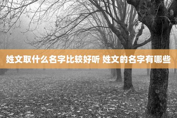 姓文取什么名字比较好听 姓文的名字有哪些