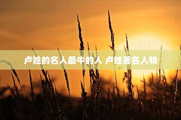 卢姓的名人最牛的人 卢姓著名人物