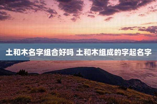 土和木名字组合好吗 土和木组成的字起名字