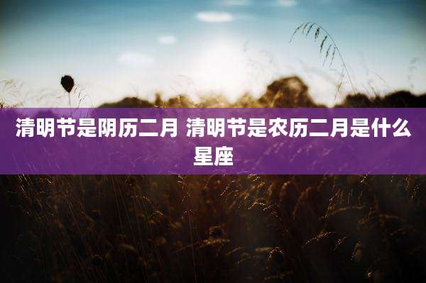 清明节是阴历二月 清明节是农历二月是什么星座