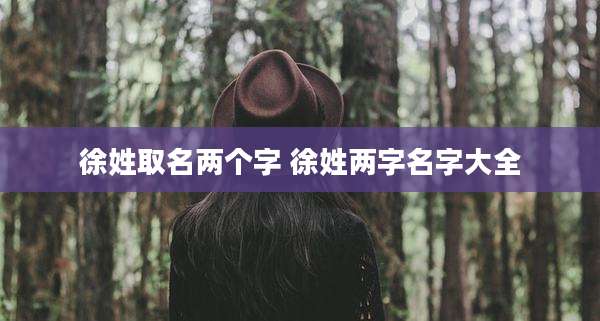 徐姓取名两个字 徐姓两字名字大全