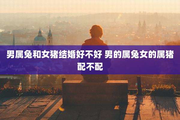 男属兔和女猪结婚好不好 男的属兔女的属猪配不配