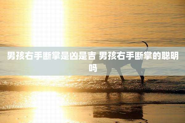 男孩右手断掌是凶是吉 男孩右手断掌的聪明吗