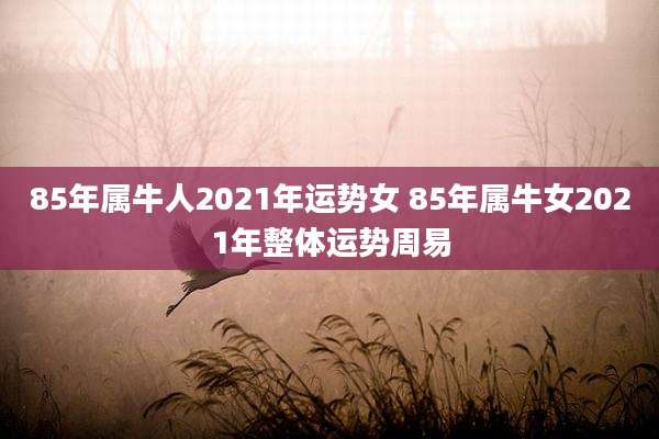 85年属牛人2021年运势女 85年属牛女2021年整体运势周易