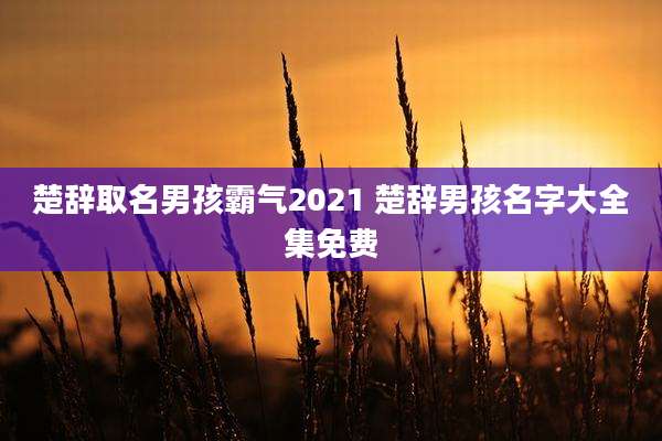 楚辞取名男孩霸气2021 楚辞男孩名字大全集免费