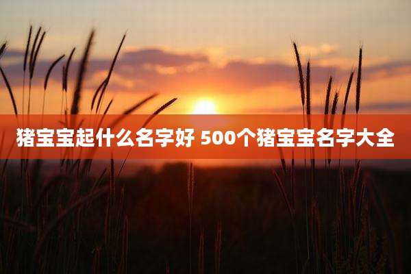 猪宝宝起什么名字好 500个猪宝宝名字大全