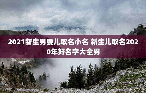 2021新生男婴儿取名小名 新生儿取名2020年好名字大全男