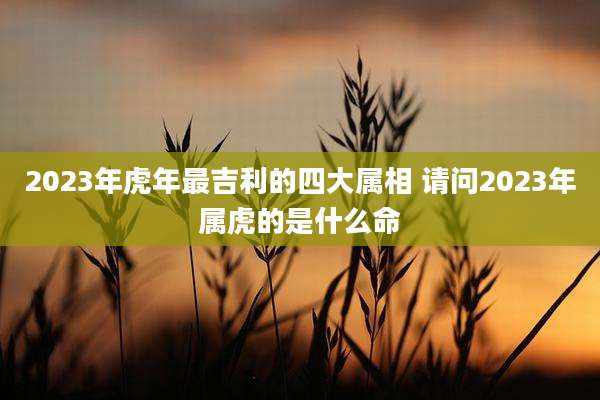 2023年虎年最吉利的四大属相 请问2023年属虎的是什么命