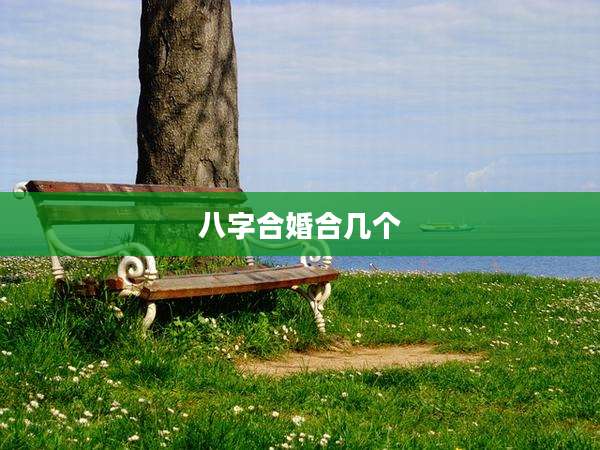 八字合婚合几个