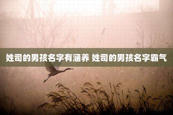 姓司的男孩名字有涵养 姓司的男孩名字霸气