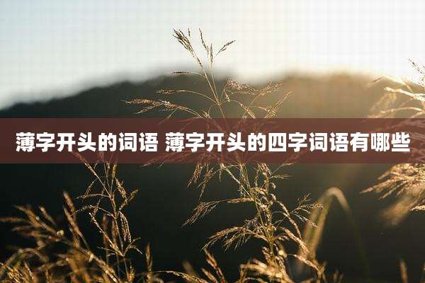 薄字开头的词语 薄字开头的四字词语有哪些