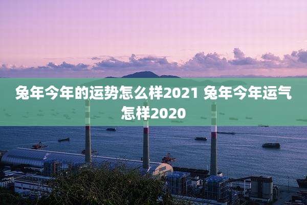 兔年今年的运势怎么样2021 兔年今年运气怎样2020