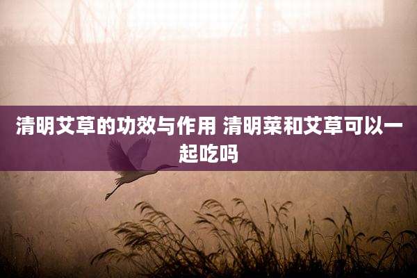 清明艾草的功效与作用 清明菜和艾草可以一起吃吗
