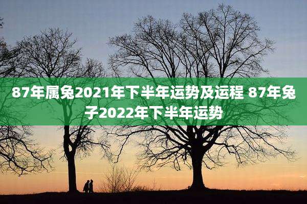 87年属兔2021年下半年运势及运程 87年兔子2022年下半年运势