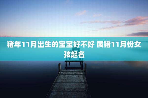 猪年11月出生的宝宝好不好 属猪11月份女孩起名