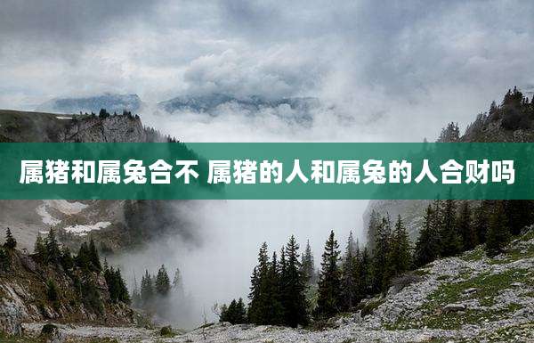 属猪和属兔合不 属猪的人和属兔的人合财吗