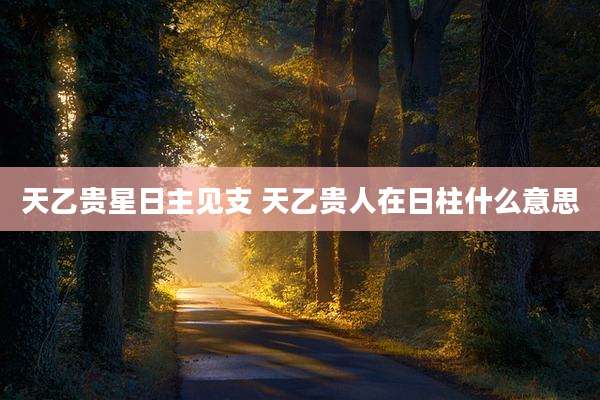 天乙贵星日主见支 天乙贵人在日柱什么意思