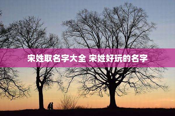 宋姓取名字大全 宋姓好玩的名字