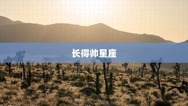 长得帅星座