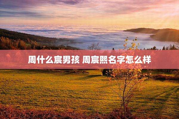 周什么宸男孩 周宸熙名字怎么样