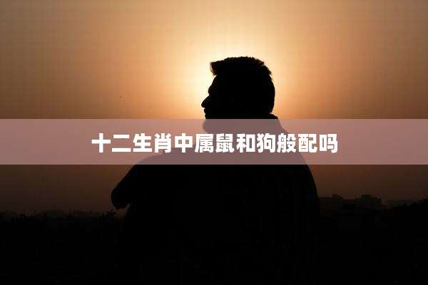 十二生肖中属鼠和狗般配吗