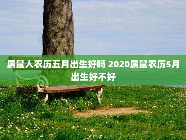 属鼠人农历五月出生好吗 2020属鼠农历5月出生好不好