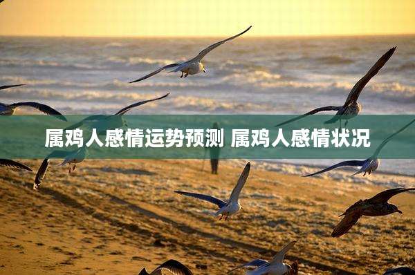属鸡人感情运势预测 属鸡人感情状况