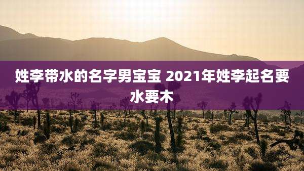 姓李带水的名字男宝宝 2021年姓李起名要水要木