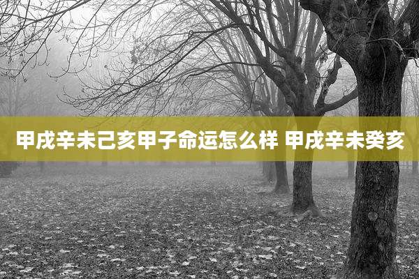甲戌辛未己亥甲子命运怎么样 甲戌辛未癸亥