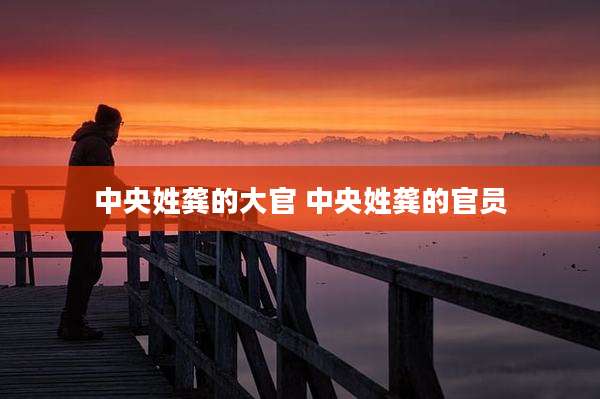 中央姓龚的大官 中央姓龚的官员