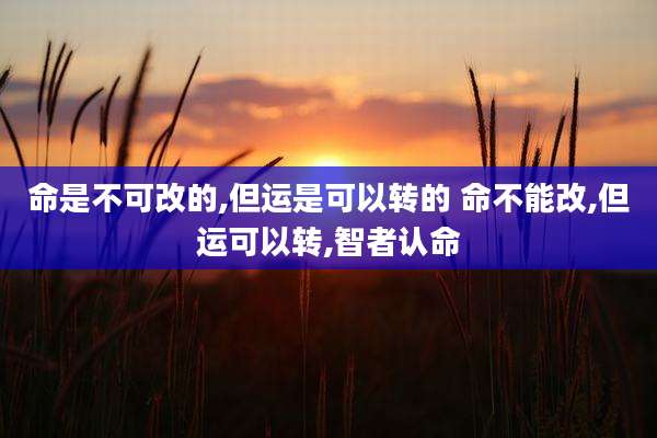 命是不可改的,但运是可以转的 命不能改,但运可以转,智者认命