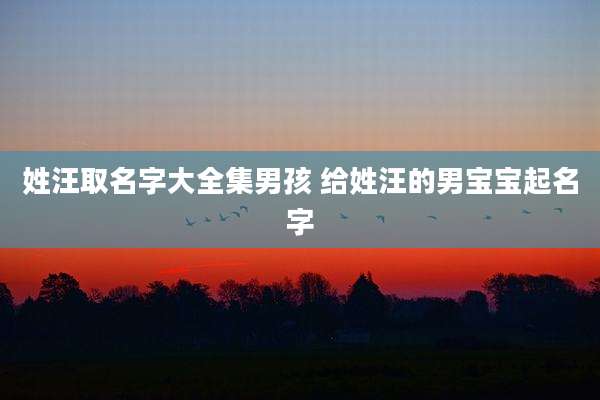 姓汪取名字大全集男孩 给姓汪的男宝宝起名字