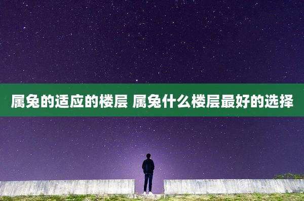 属兔的适应的楼层 属兔什么楼层最好的选择