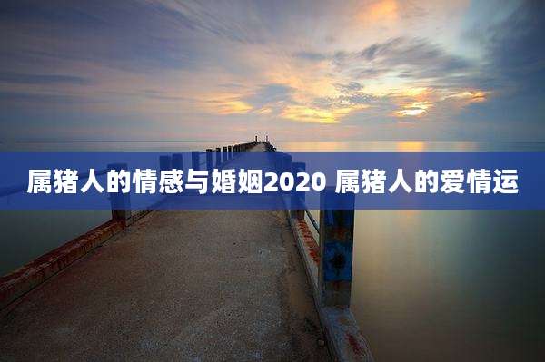 属猪人的情感与婚姻2020 属猪人的爱情运