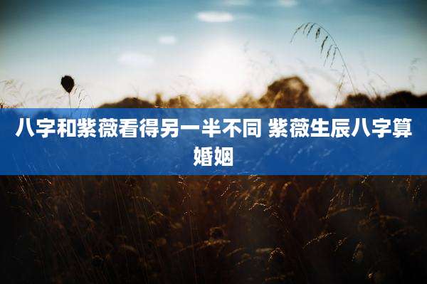 八字和紫薇看得另一半不同 紫薇生辰八字算婚姻