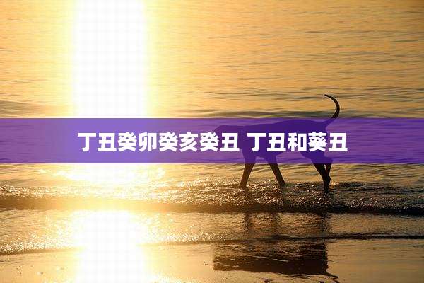 丁丑癸卯癸亥癸丑 丁丑和葵丑