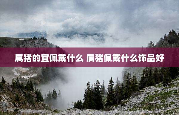 属猪的宜佩戴什么 属猪佩戴什么饰品好