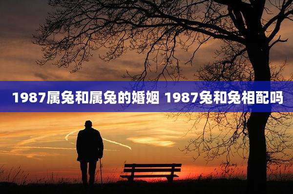 1987属兔和属兔的婚姻 1987兔和兔相配吗