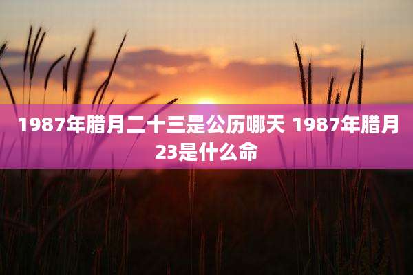 1987年腊月二十三是公历哪天 1987年腊月23是什么命