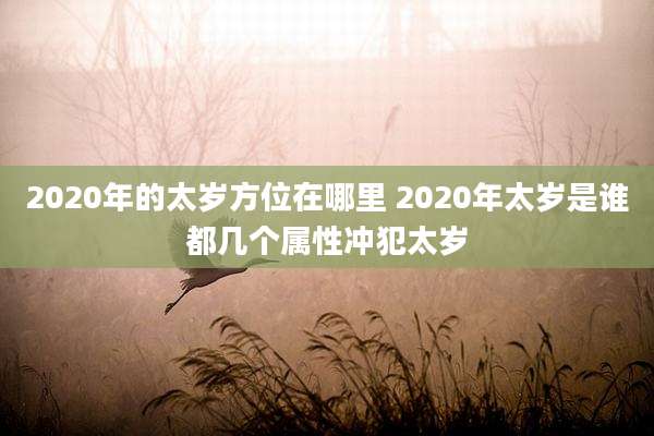 2020年的太岁方位在哪里 2020年太岁是谁都几个属性冲犯太岁