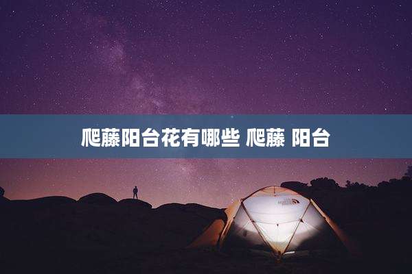 爬藤阳台花有哪些 爬藤 阳台